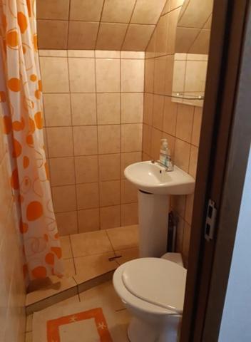 Pensiunea Razvan Gura Rîului Exterior foto
